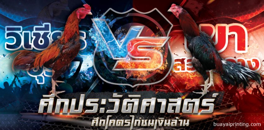 ป้ายไก่ชน ชนไก่ VS
