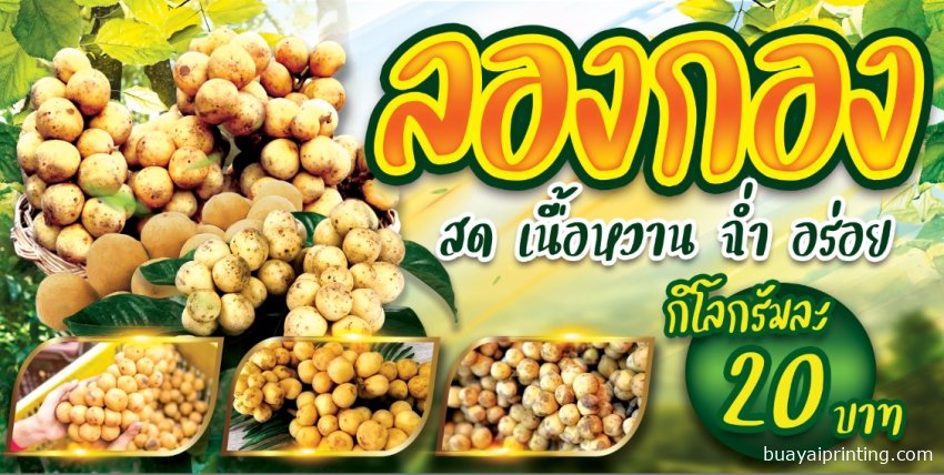 ป้ายลองกอง